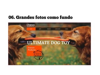 06. Grandes fotos como fundo

 