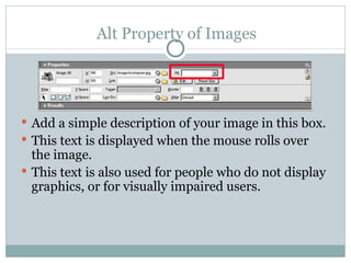 Alt Property of Images  Add a simple description of your image in this box. This text is displayed when the mouse rolls over the image. This text is also used for people who do not display graphics, or for visually impaired users. 