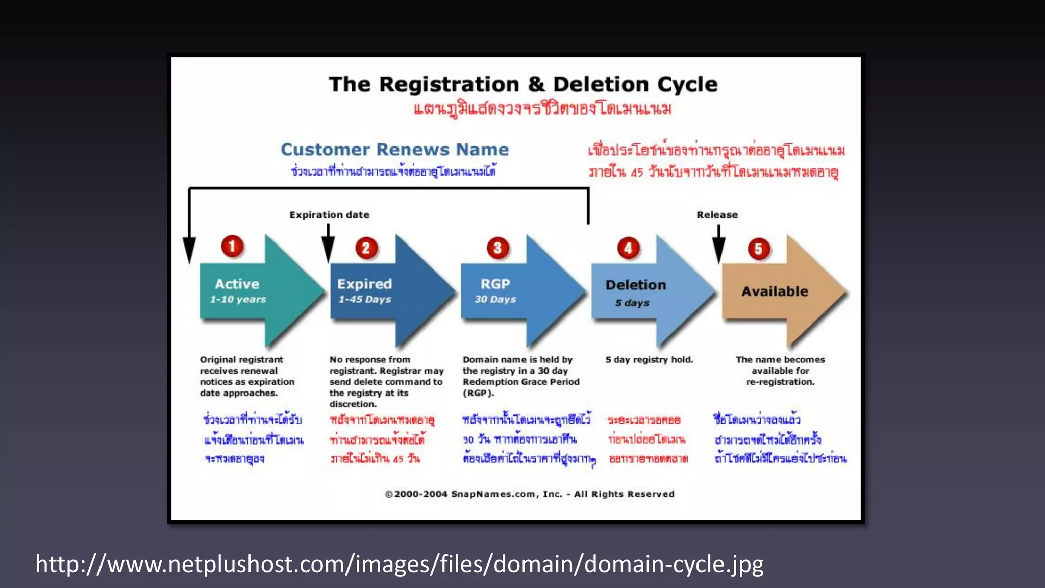 http://www.netplushost.com/images/files/domain/domain-cycle.jpg 