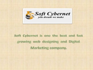 Web design services in hyderabad