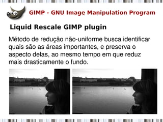 GIMP - GNU Image Manipulation Program
Liquid Rescale GIMP plugin
Método de redução não­uniforme busca identificar 
quais são as áreas importantes, e preserva o 
aspecto delas, ao mesmo tempo em que reduz 
mais drasticamente o fundo. 
 