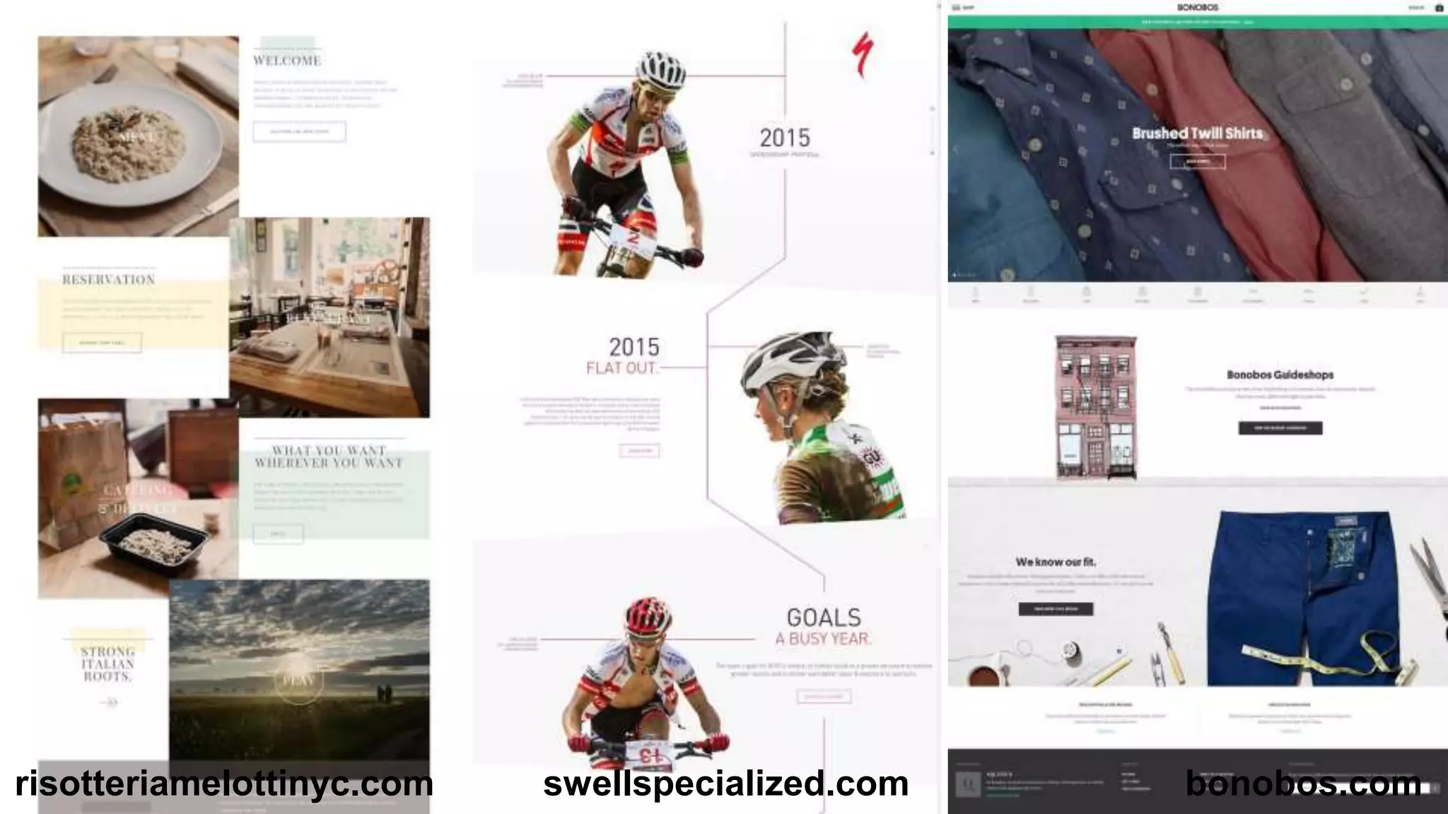 risotteriamelottinyc.com swellspecialized.com bonobos.com 
 
