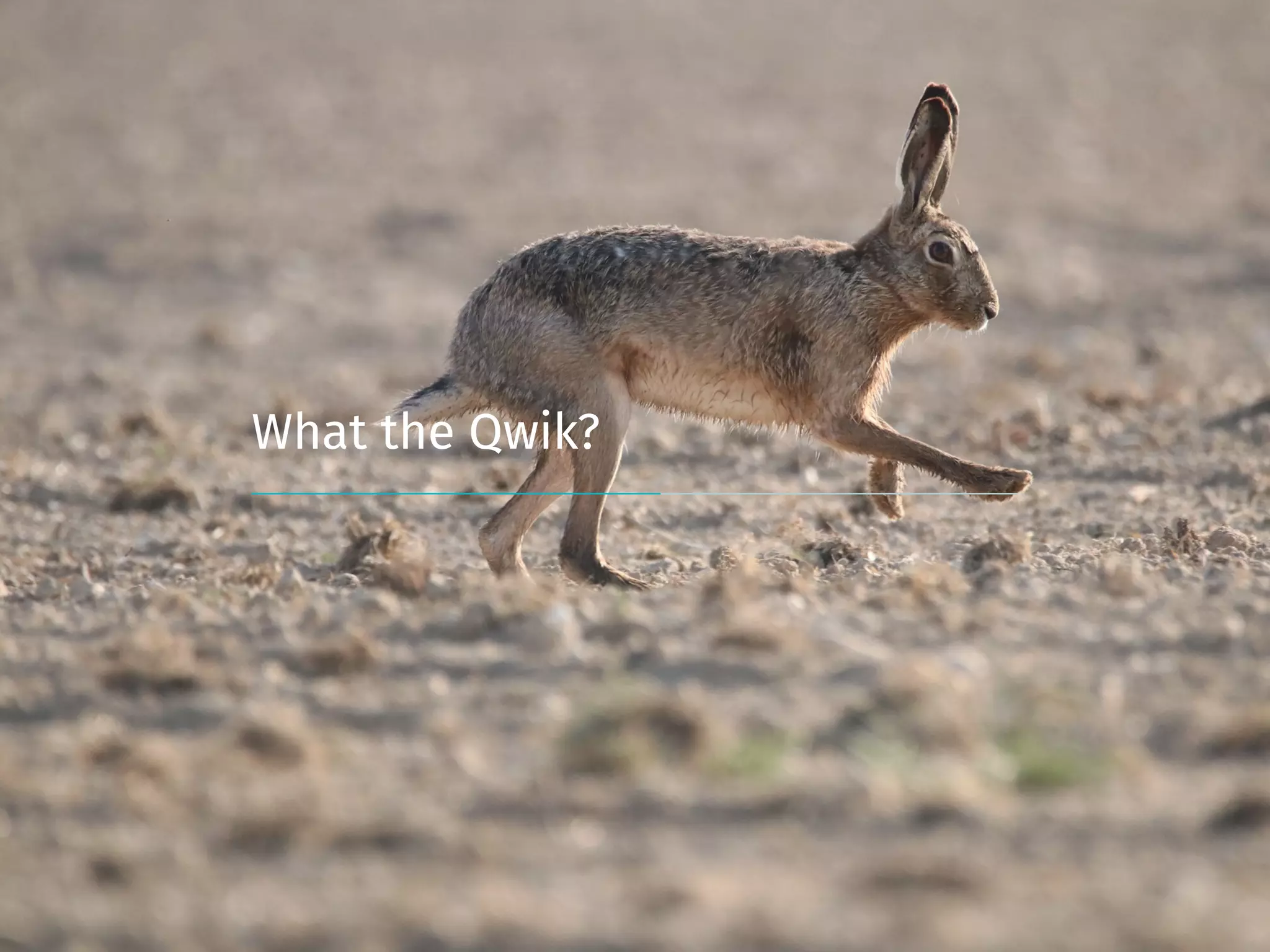 What the Qwik?
 