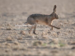 What the Qwik?
 