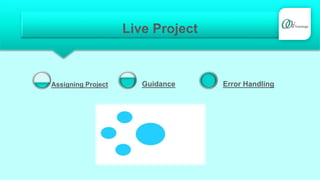 Live Project
Assigning Project Guidance Error Handling
 