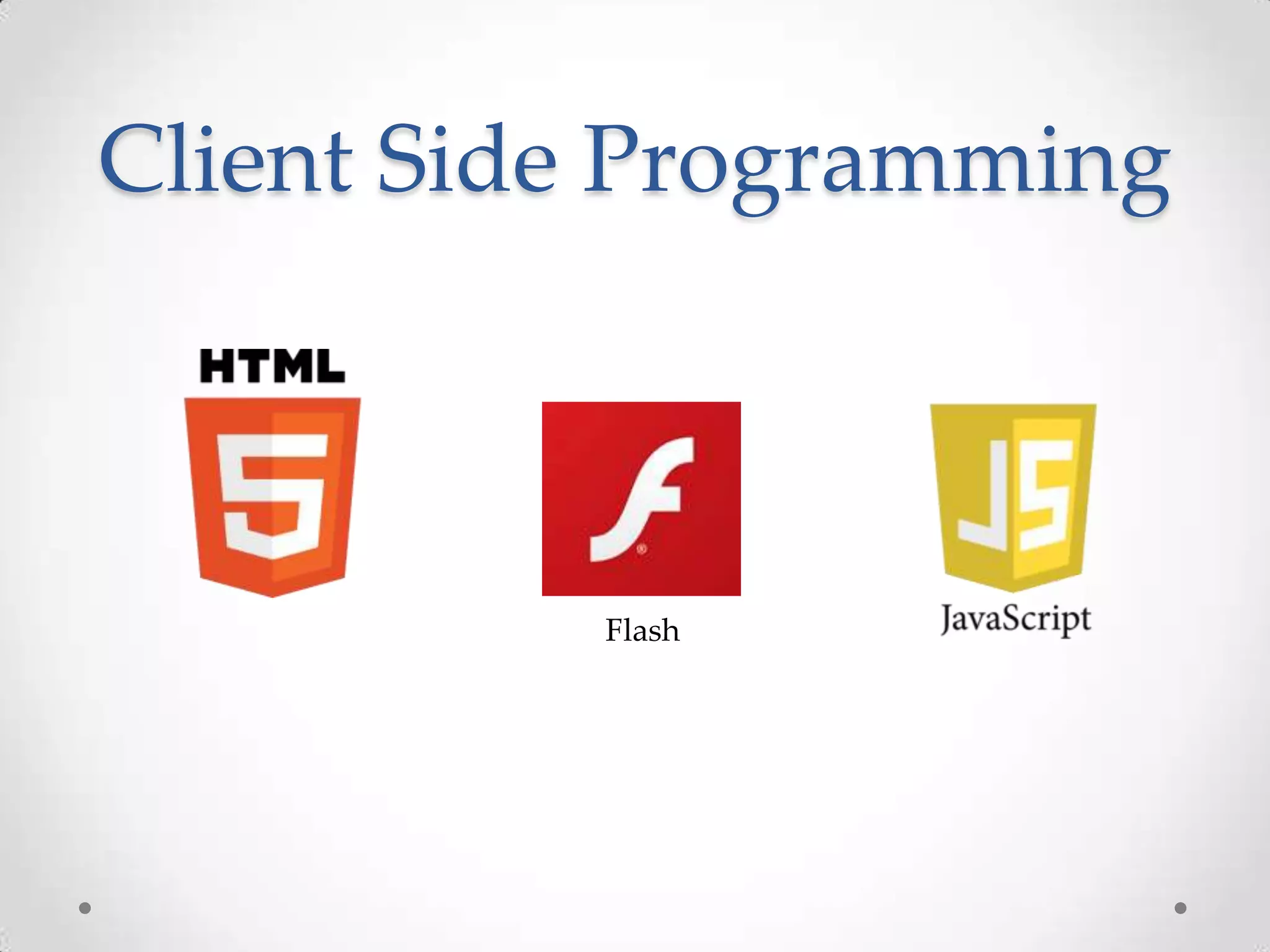 Client Side Programming



          Flash
 