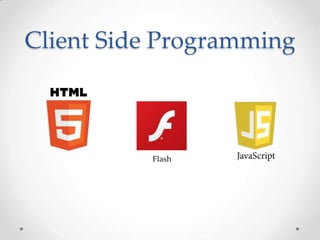 Client Side Programming



          Flash
 