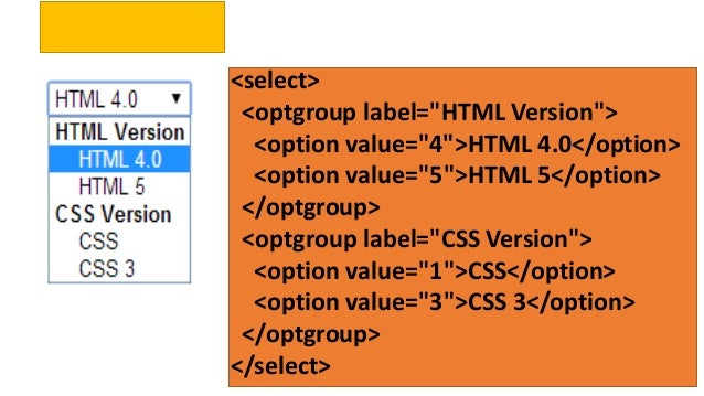 HTML CSS and Web Development