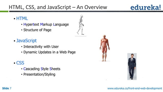 Web Development with HTML5, CSS3 & JavaScript | PDF