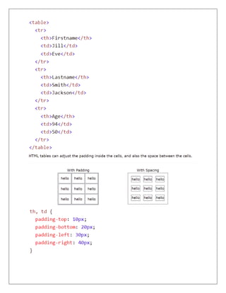 Web Development 3 (HTML & CSS) | PDF