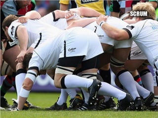 Web Development Process