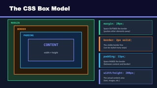 WebDev_HTML_CSS_Presentation.pptx. Every person could learn css | PPTX
