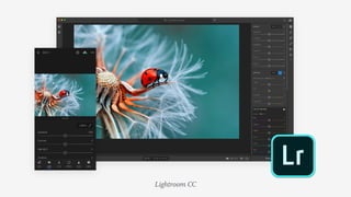 Lightroom CC
 
