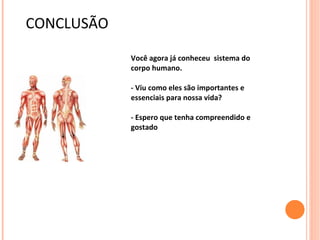 CONCLUSÃO

            Você agora já conheceu sistema do
            corpo humano.

            - Viu como eles são importantes e
            essenciais para nossa vida?

            - Espero que tenha compreendido e
            gostado
 
