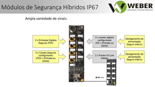 Ampla variedade de sinais:
Módulos de Segurança Híbridos IP67
 