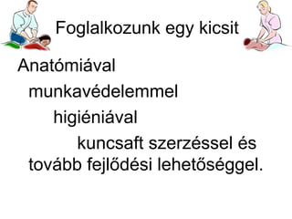 Foglalkozunk egy kicsit
Anatómiával
munkavédelemmel
higiéniával
kuncsaft szerzéssel és
tovább fejlődési lehetőséggel.

 