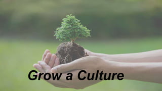 Grow a Culture
 