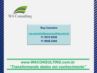 Ruy Carneiro

         ruy.carneiro@waconsulting.com.br
                  11 5572.8536
                  11 9956.5395




      www.WACONSULTING.com.br
“Transformando dados em conhecimento”
 