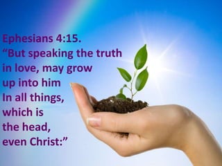 Ephesians 4:15.“But speaking the truth in love, may grow up into him In all things, which is the head, even Christ:”