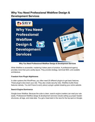 Complete Webflow Development Process Overview | PDF