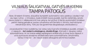 Vilniaus Liberalų ataskaita 2017