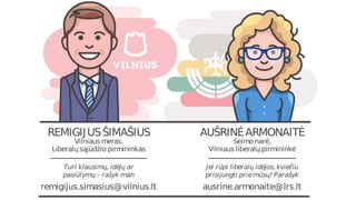 Vilniaus Liberalų ataskaita 2017