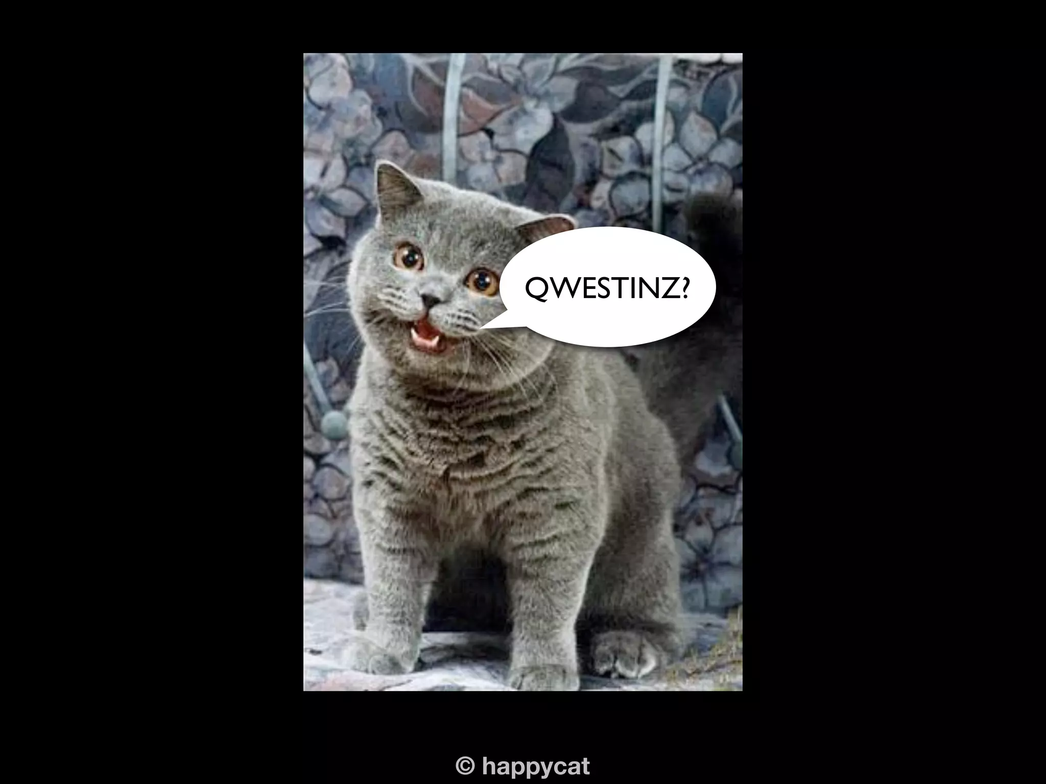 QWESTINZ?




© happycat
 