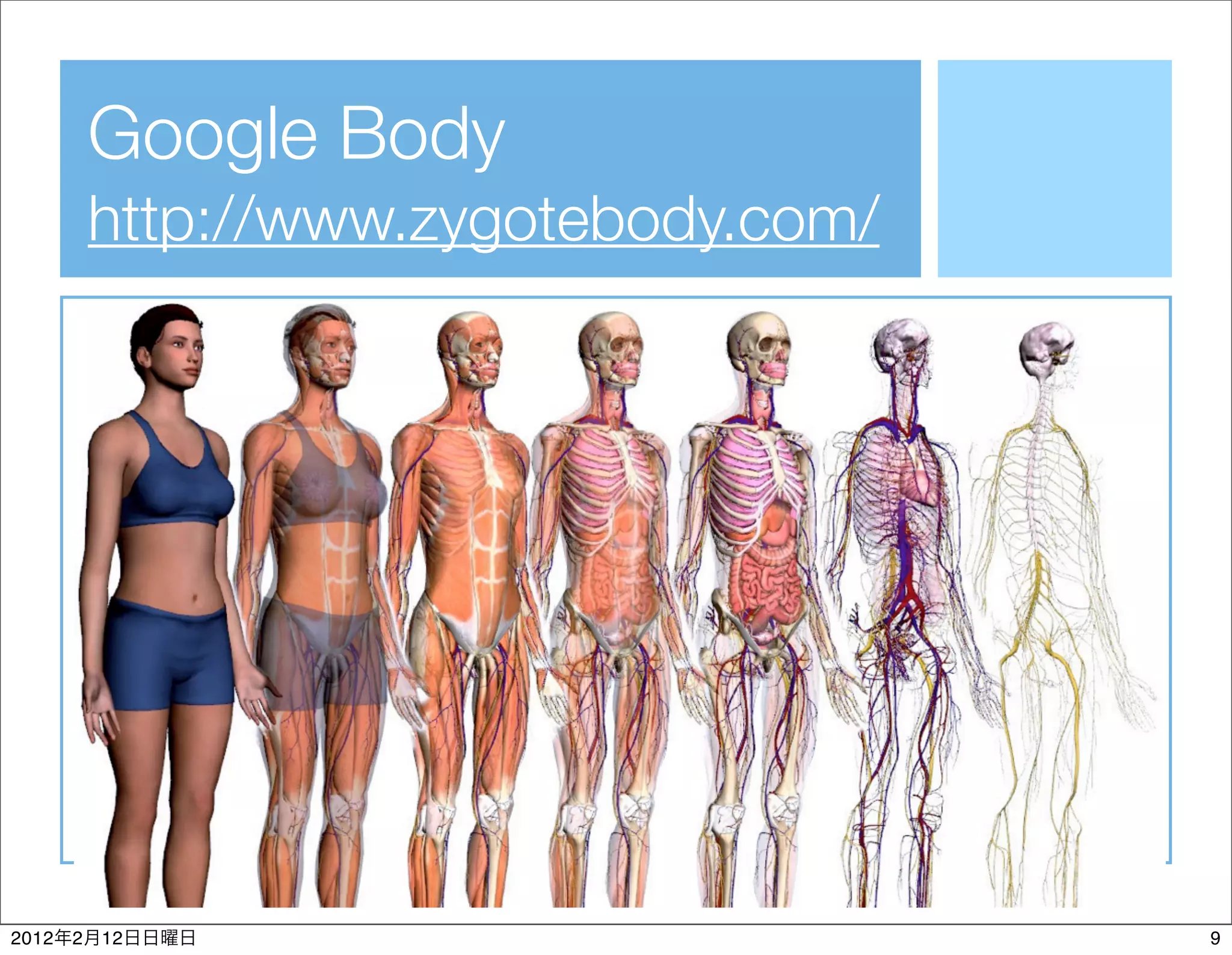 Google Body
           http://www.zygotebody.com/




2012   2   12                           9
 