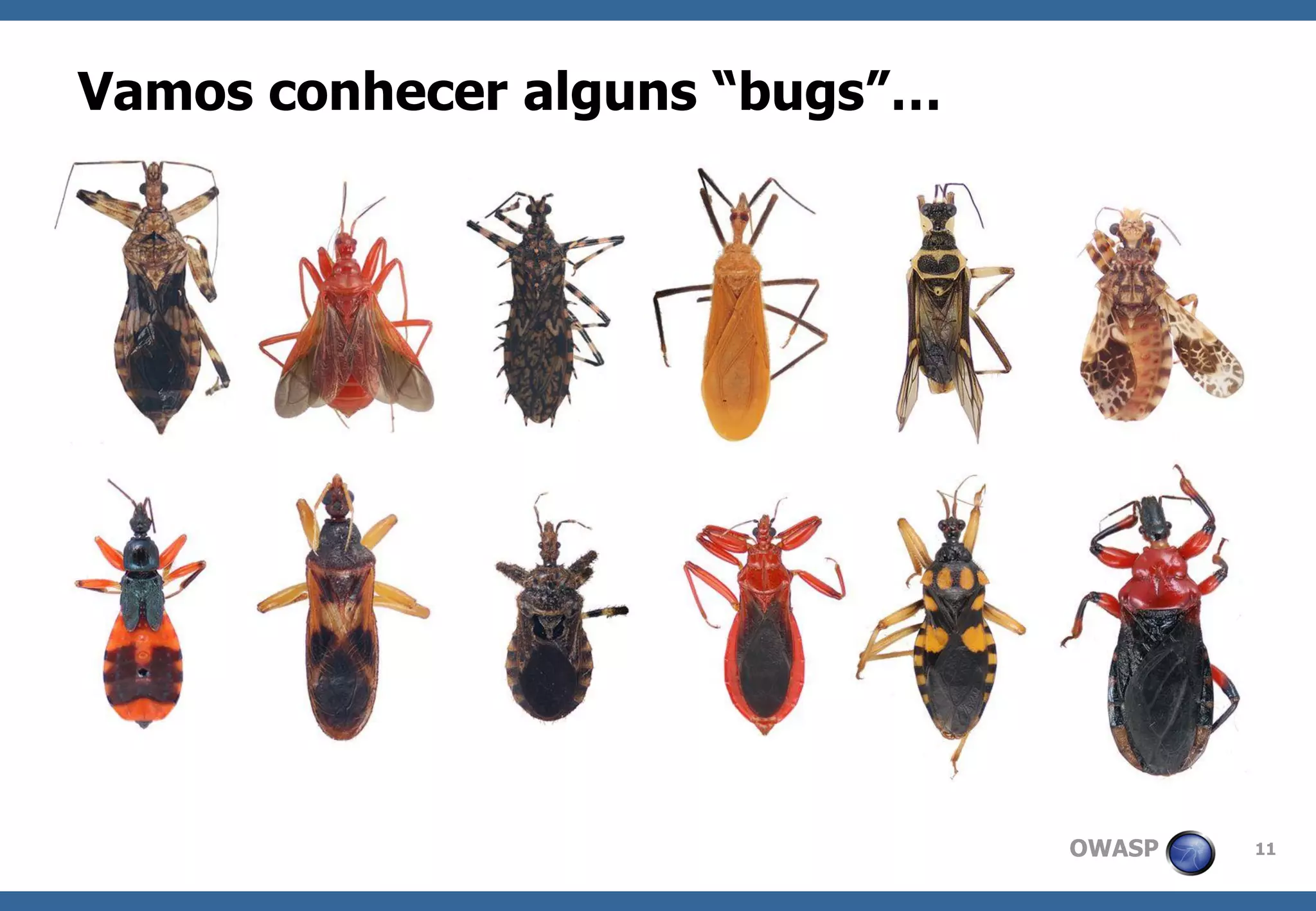 OWASP 
11 
Vamos conhecer alguns “bugs”…  