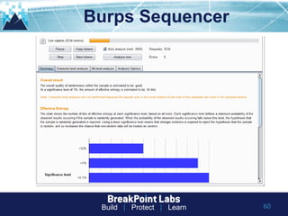 tryhackme burp suite walkthrough tryhackme burp suite walkthrough