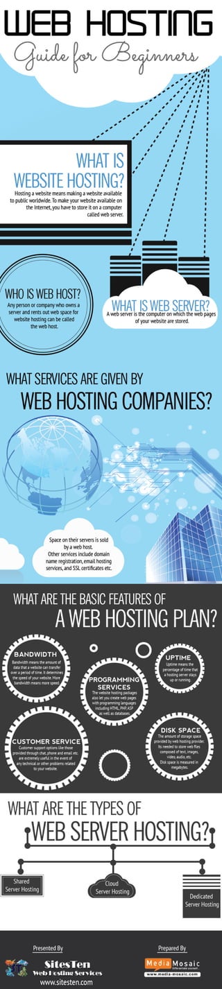 Web hosting guide for beginners [info graphic]
