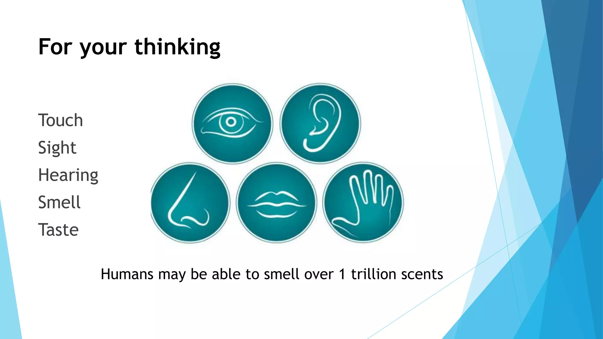 For your thinking
Touch
Sight
Hearing
Smell
Taste
Humans may be able to smell over 1 trillion scents
 