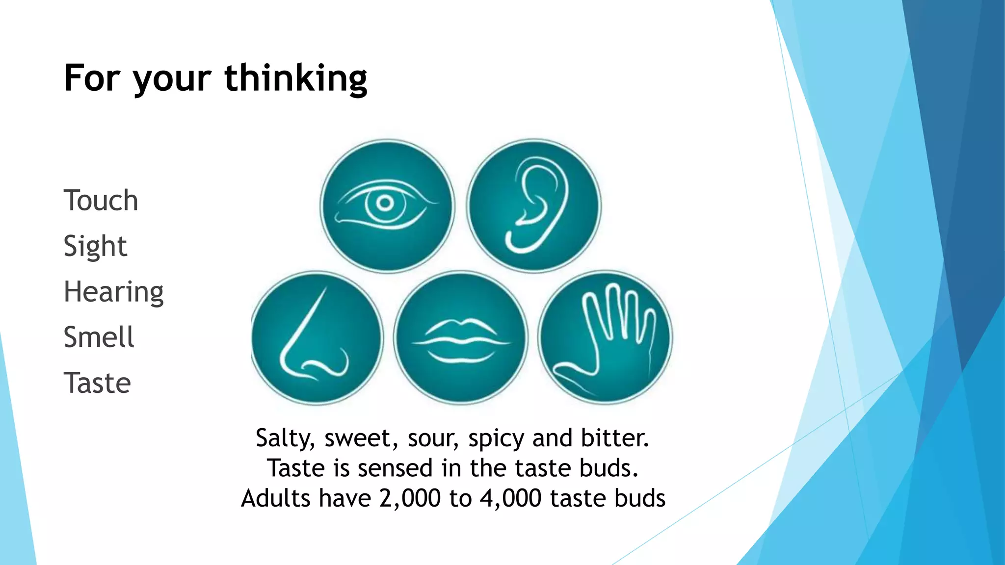 For your thinking
Touch
Sight
Hearing
Smell
Taste
Salty, sweet, sour, spicy and bitter.
Taste is sensed in the taste buds.
Adults have 2,000 to 4,000 taste buds
 