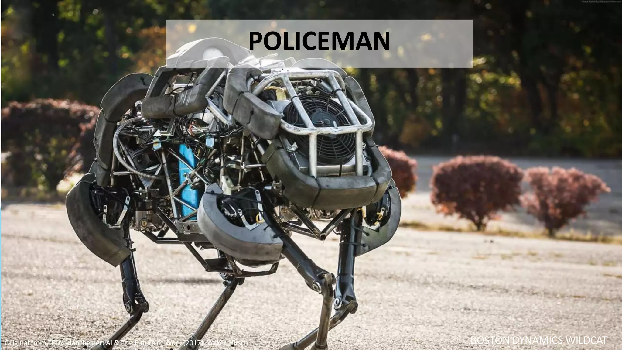 BOSTON DYNAMICS WILDCAT
POLICEMAN
Original from TEDx Manchester: AI & The Future of Work (2017), Volker Hirsch
 
