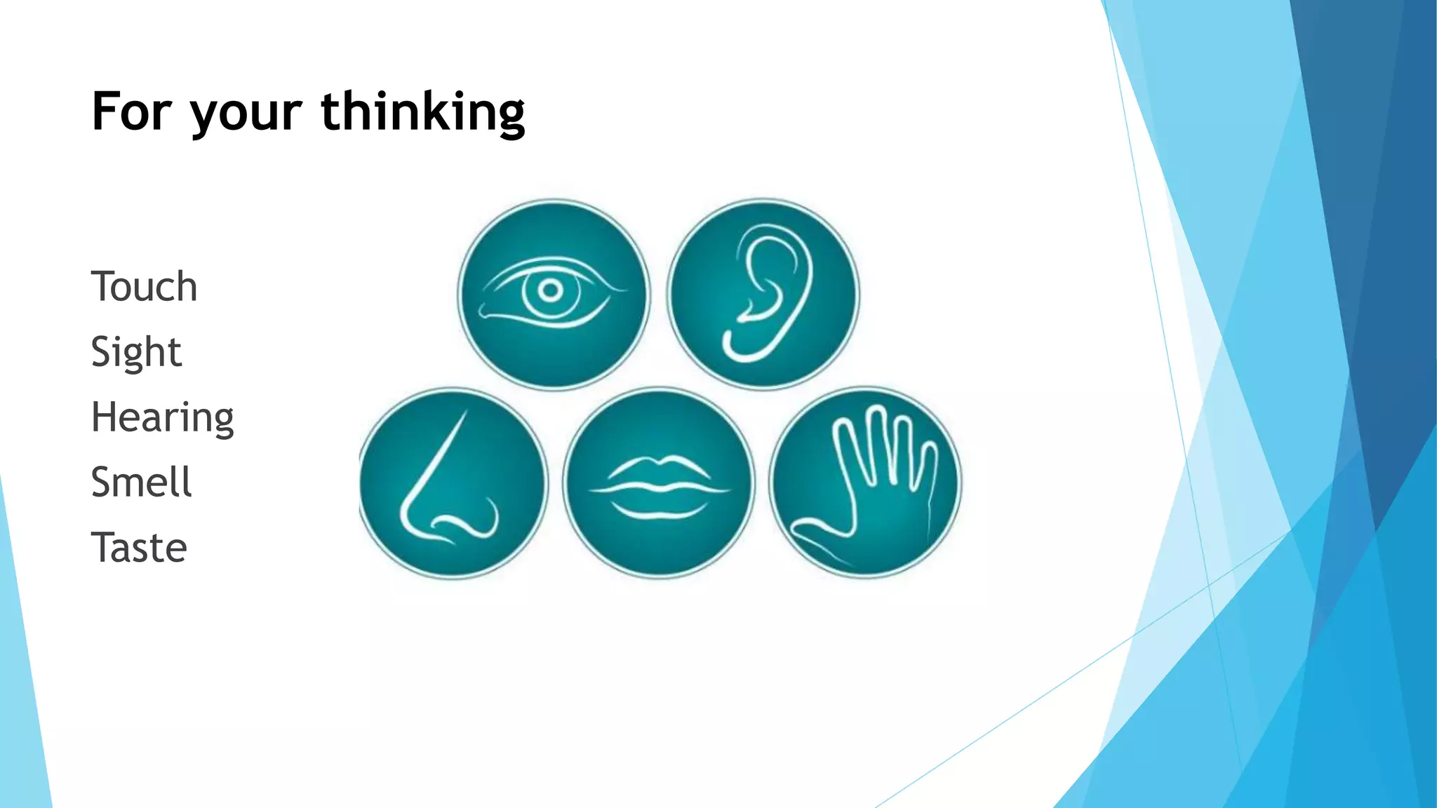 For your thinking
Touch
Sight
Hearing
Smell
Taste
 