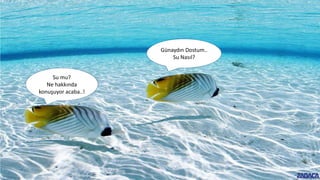 Günaydın Dostum..
Su Nasıl?
Su mu?
Ne hakkında
konuşuyor acaba..!
 