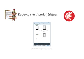 L’aperçu multi périphériques
(c) Patrick Prémartin / developpeur-pascal.fr
 