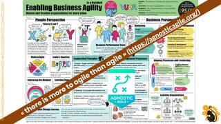 Webinaire 30 ans d'agilité ?