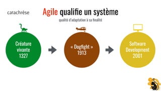 Webinaire 30 ans d'agilité ?