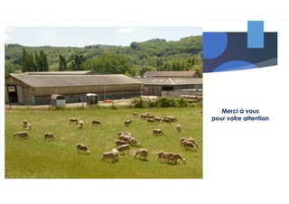 webinaire Cap Filière ovins région centre val de loire du 24 mai 22.pdf