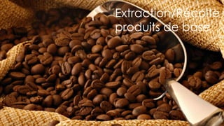 25
Extraction/Récolte
produits de base
 