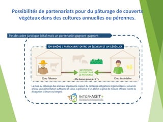 Pas de cadre juridique idéal mais un partenariat gagnant-gagnant
Possibilités de partenariats pour du pâturage de couverts...