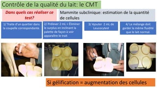 1/ Traite d’un quartier dans
la coupelle correspondante.
2/ Prélever 2 mL = Éliminer
le surplus en inclinant la
palette de façon à voir
apparaître le trait
3/ Ajouter 2 mL de
Leucocytest
4/ Le mélange doit
garder la même fluidité
que le lait normal.
Ici normal
Contrôle de la qualité du lait: le CMT
Mammite subclinique: estimation de la quantité
de cellules
Si gélification = augmentation des cellules
Dans quels cas réaliser ce
test?