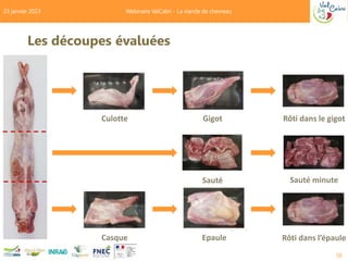 Les découpes évaluées
58
23 janvier 2023 Webinaire ValCabri - La viande de chevreau
Culotte Gigot Rôti dans le gigot
Rôti ...