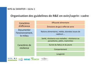 Caractères
d’efficience
Caractères de
résilience
Efficacité alimentaire
Émissions de gaz à effet de serre
Santé, résistance aux maladies : résistance au
parasitisme, piétin, mammites
Comportement
Longévité
Survie du fœtus et du jeune
Documenter
l’environnement,
le milieu
Rations alimentaires, météo, données issues de
capteurs …
Organisation des guidelines de R&E en ovin/caprin : cadre
WP6 de SMARTER – tâche 1
 