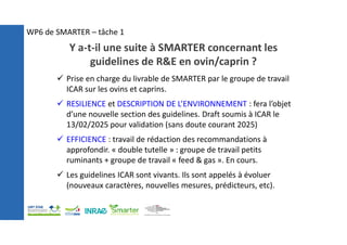 Y a-t-il une suite à SMARTER concernant les
guidelines de R&E en ovin/caprin ?
 Prise en charge du livrable de SMARTER par le groupe de travail
ICAR sur les ovins et caprins.
 RESILIENCE et DESCRIPTION DE L’ENVIRONNEMENT : fera l’objet
d’une nouvelle section des guidelines. Draft soumis à ICAR le
13/02/2025 pour validation (sans doute courant 2025)
 EFFICIENCE : travail de rédaction des recommandations à
approfondir. « double tutelle » : groupe de travail petits
ruminants + groupe de travail « feed & gas ». En cours.
 Les guidelines ICAR sont vivants. Ils sont appelés à évoluer
(nouveaux caractères, nouvelles mesures, prédicteurs, etc).
WP6 de SMARTER – tâche 1
 