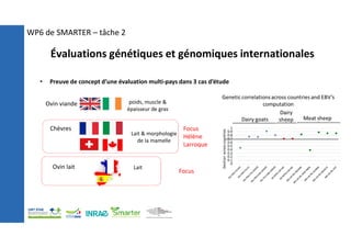 Évaluations génétiques et génomiques internationales
WP6 de SMARTER – tâche 2
• Preuve de concept d’une évaluation multi-pays dans 3 cas d’étude
Ovin viande
Chèvres
Ovin lait
poids, muscle &
épaisseur de gras
Lait
Lait & morphologie
de la mamelle
Focus
Focus
Hélène
Larroque
 