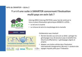 WP6 de SMARTER – tâche 2
Y a-t-il une suite à SMARTER concernant l’évaluation
multi-pays en ovin lait ?
Interreg ARDI2 (Interreg POCTEFA) a pour but de continuer la
mise en place d’évaluations génomiques MANECH x LATXA :
• Le lait vers la routine
• La richesse du lait et la morphologie de la mamelle
Collaboration avec Interbull
• Étendre GenoEx aux ovins (et au-delà) : partager les
génotypages issus de plusieurs pays et plateformes
(Illumina & Affymetrix) => génotypages alignés et
propres
• Adapter une chaîne utilisée dans l’évaluation
internationale Intergenomics (Brunes) => produire des
typages imputés prêts pour l’indexation
 