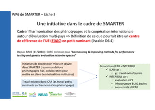 Une initiative dans le cadre de SMARTER
Cadrer l’harmonisation des phénotypages et la coopération internationale
autour d’évaluation multi-pays => Définition de ce que pourrait être un centre
de référence de l’UE (EURC) en petit ruminant (livrable D6.4)
Depuis RZUE (11/2018) : EURC en bovin pour “harmonizing & improving methods for performance
testing and genetic evaluation in bovine species”
Initiatives de coopération mises en œuvre
dans SMARTER (recommandations
phénotypages R&E, collaboration pour
mettre en place des évaluations multi-pays)
Travail existant dans ICAR (gr. travail petits
ruminants sur harmonisation phénotypage)
Consortium ICAR x INTERBULL
 ICAR car :
• gr. travail ovins/caprins
 INTERBULL car :
• évaluation int’l
• infrastructure EURC bovins
• sous-comité d’ICAR
WP6 de SMARTER – tâche 3
 