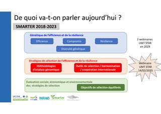 De quoi va-t-on parler aujourd’hui ?
Génétique de l’efficience et de la résilience
Stratégies de sélection de l’efficience et de la résilience
Évaluation sociale, économique et environnementale
des stratégies de sélection
2 webinaires
UMT STAR
en 2024
Résilience
Efficience Compromis
Diversité génétique
Méthodologies
d’analyse génomique
Outils de sélection / harmonisation
/ coopération internationale
Objectifs de sélection équilibrés
Webinaire
UMT STAR
14/02/2025
SMARTER 2018-2023
 